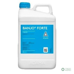 BANJO FORTE 400 SC 5l