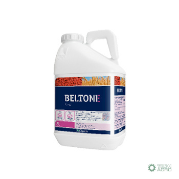 BELTONE 25 FS 5L