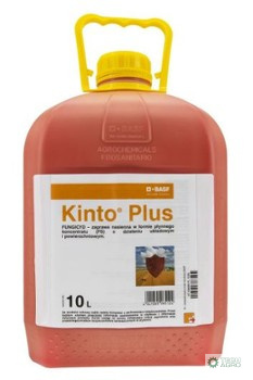 ZAPRAWA KINTO PLUS 10L