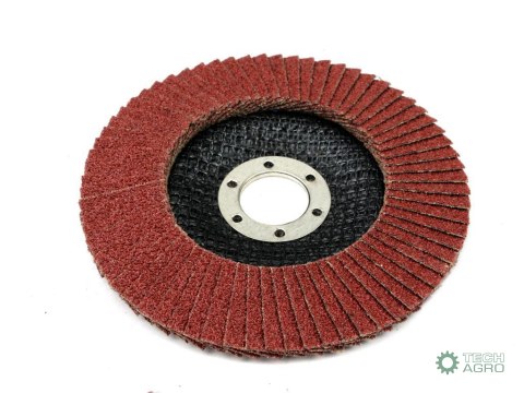 Tarcza do szlifierki 125 mm lamelkowa z elektrokorundem GR40 (sprzedawana po 10 szt.) Waryński Tarcza do szlifierki 125 mm lamelkowa z elektrokorundem GR40 (sprzedawana po 10 szt.) Waryński