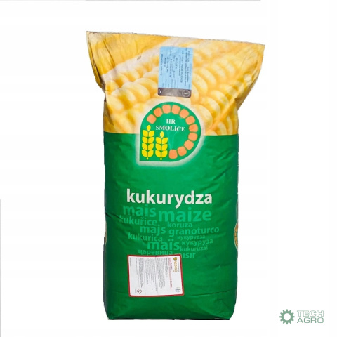 KUKURYDZA KONKURENT C1 50 TYS.NASION KUKURYDZA KONKURENT C1 50 TYS.NASION