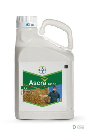 ASCRA XPRO 260C 5L