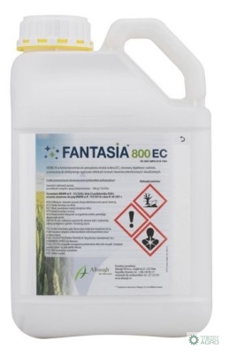 FANTASIA 800 EC 5L