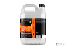 Mydło w płynie PROFESSIONAL 5l / TEGER