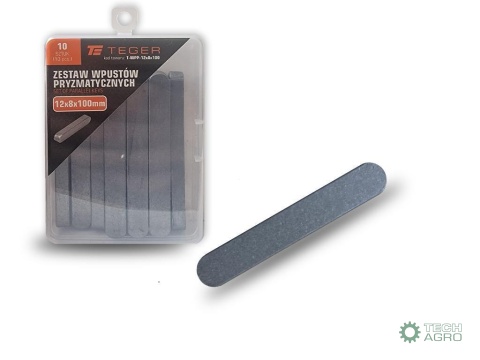 Wpust pryzmatyczny 12x8x100 TEGER,