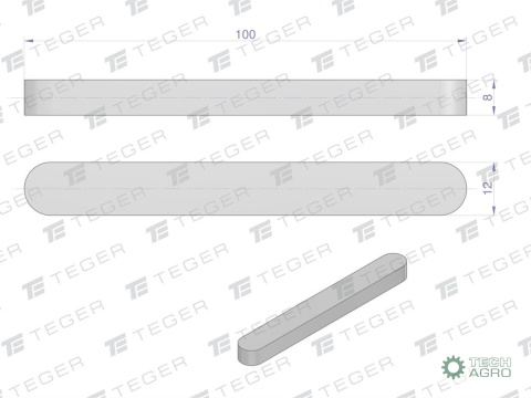 Wpust pryzmatyczny 12x8x100 TEGER,